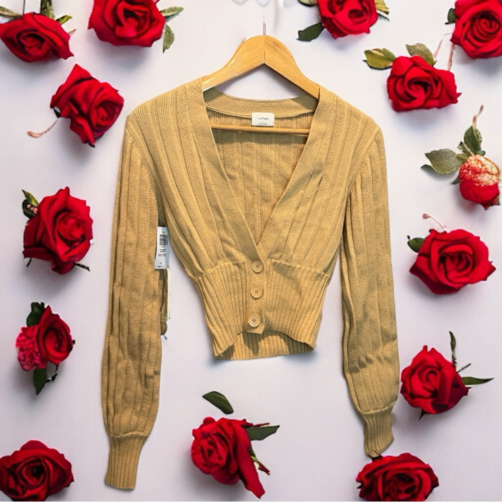 Aritzia low cut sweater